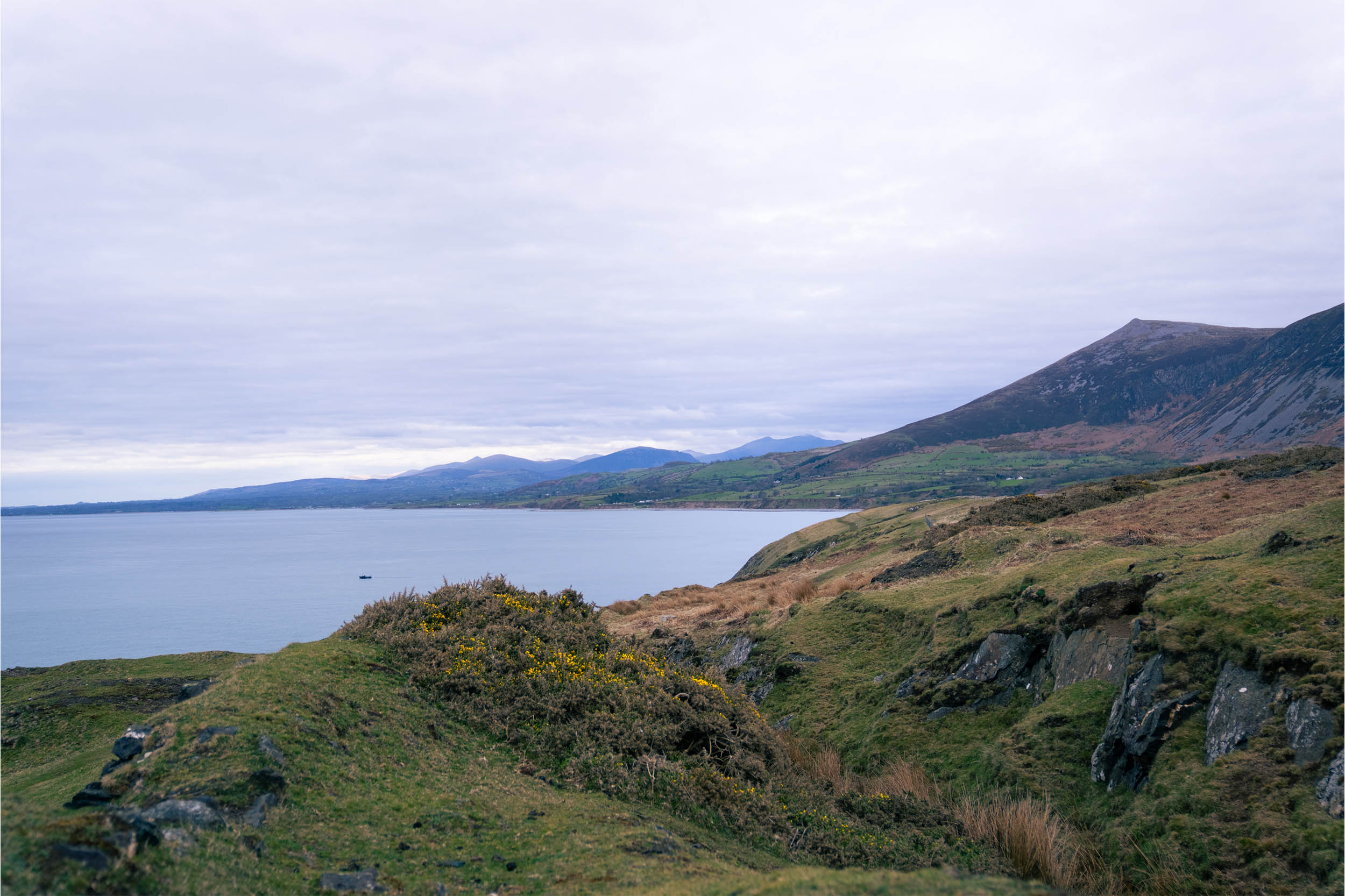 WALES_TREFOR_0003